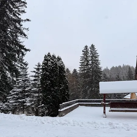 Daria Affittacamere Poiana Brasov