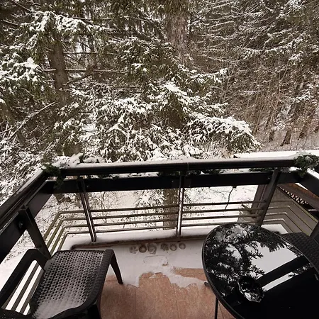 Daria Affittacamere 3*