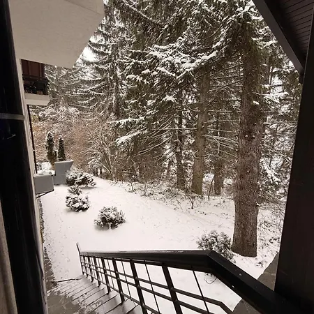 Daria בית הארחה פויאנה ברשוב