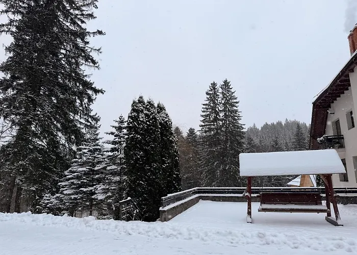 Daria Gasthuis Poiana Brasov