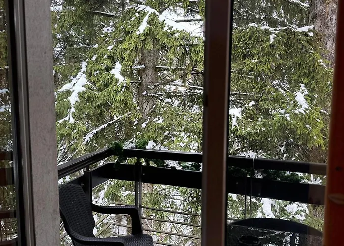 Daria Affittacamere Poiana Brasov