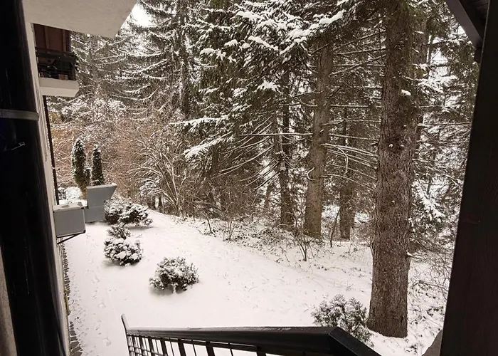 Daria Gasthuis Poiana Brasov