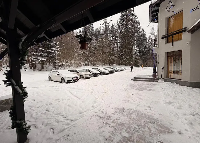 Daria 3* Poiana Brasov