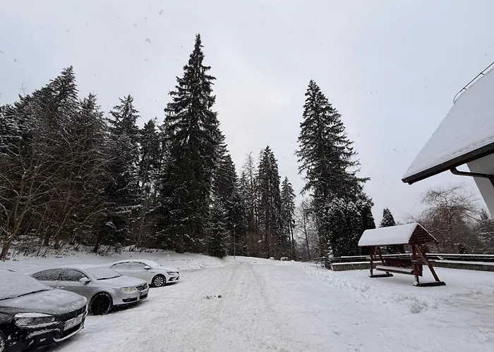 Gasthuis Daria Poiana Brasov